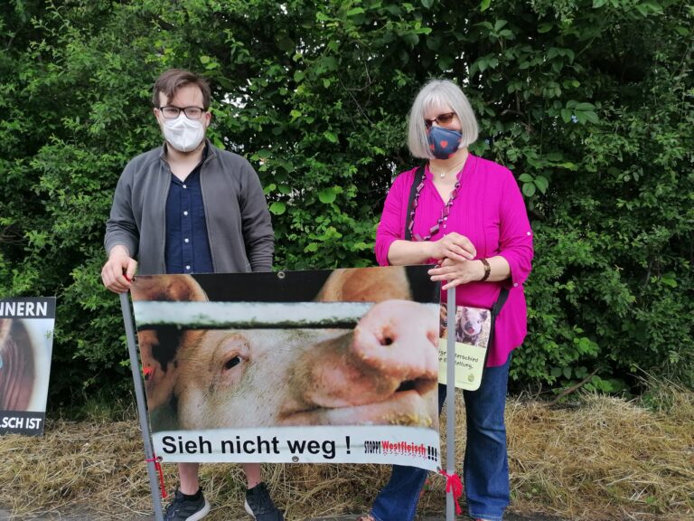 Stoppt Westfleisch!